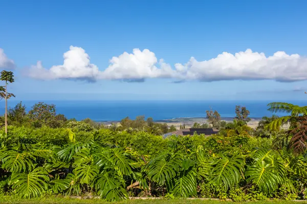 73-4571 KUKUKI ST #A, Kailua-kona, HI 96740