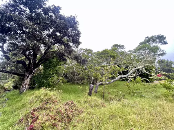 Hawaiian Natl Park, HI 96718,99-1945 PUKEAWE CIR
