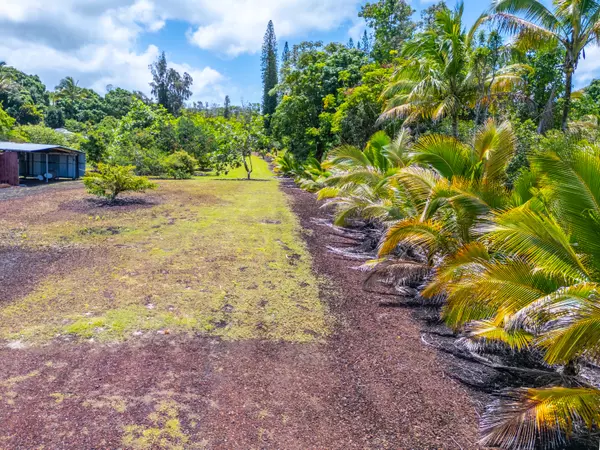 Pahoa, HI 96778,KAMAILI RD