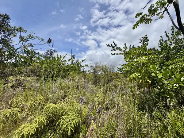 Keaau, HI 96749,4TH AVE