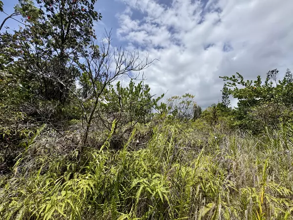 Keaau, HI 96749,4TH AVE