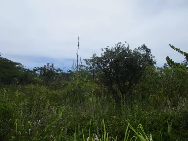 Keaau, HI 96749,4TH AVE