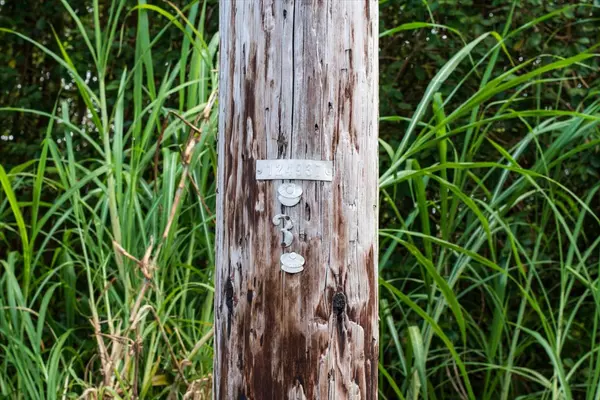 Keaau, HI 96749,35TH AVE