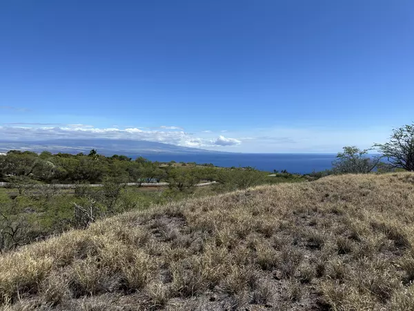 59-106 OLOMANA RD, Kamuela, HI 96743