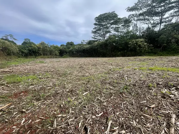 Keaau, HI 96749,12TH AVE