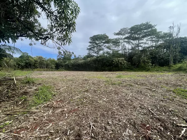 Keaau, HI 96749,12TH AVE