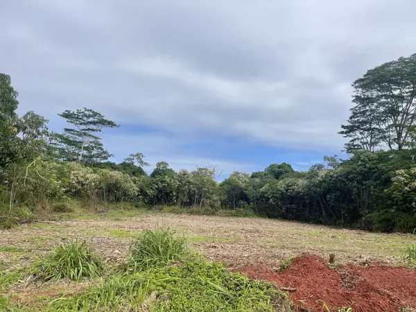 Keaau, HI 96749,12TH AVE