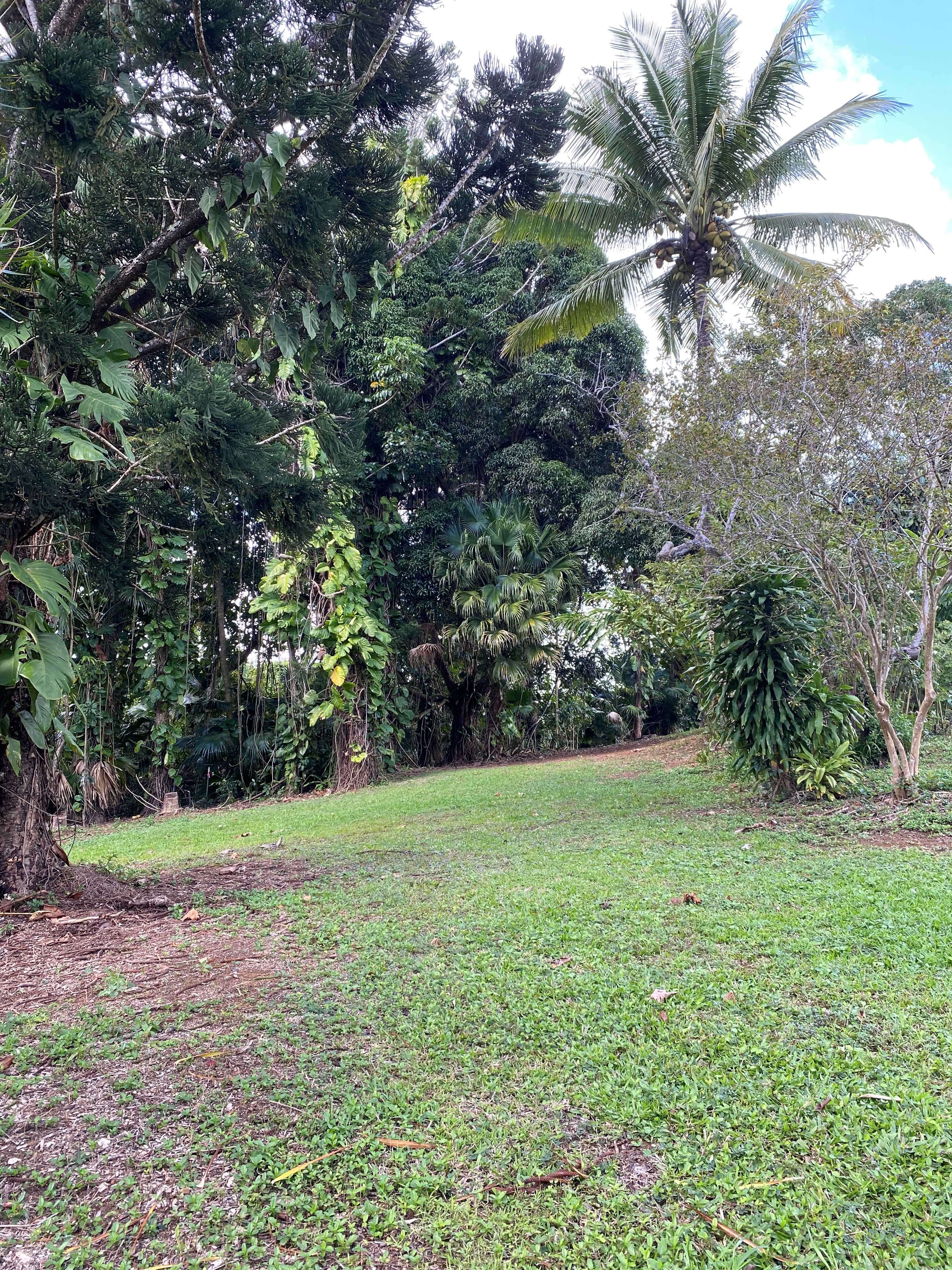 Kapaa, HI 96746,6546-D KUAMOO RD #1