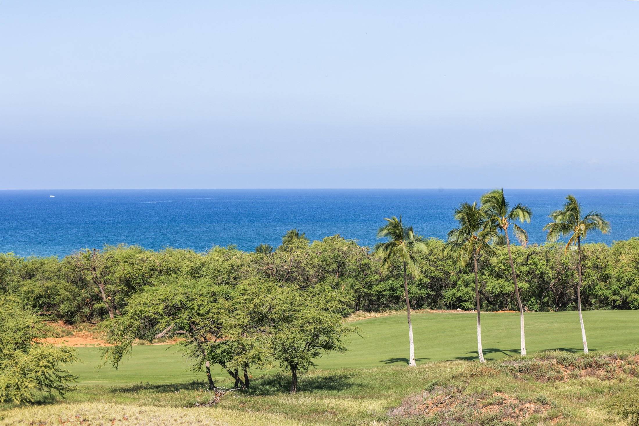 Kamuela, HI 96743,62-3779 KAUNAOA NUI RD