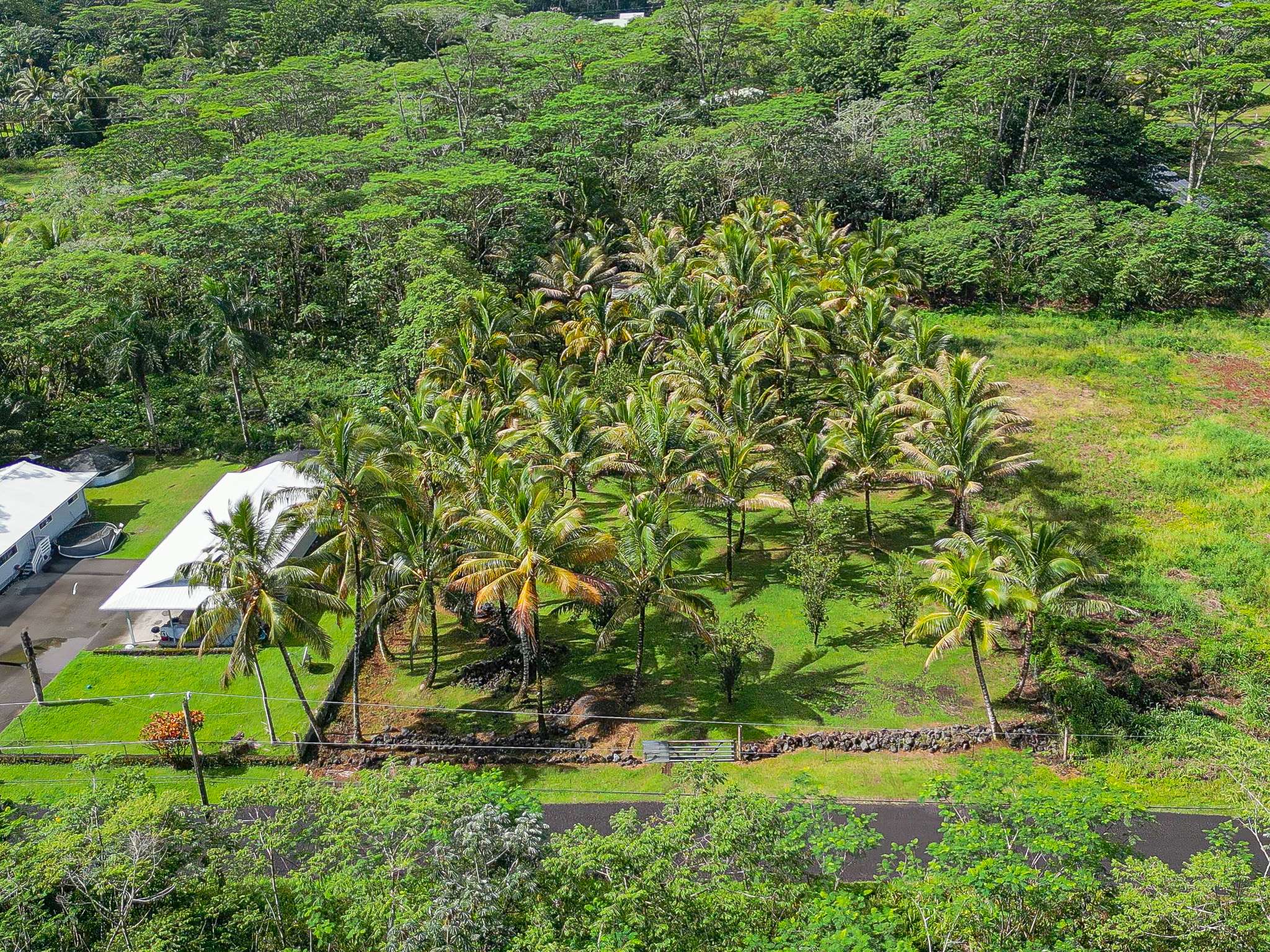 Keaau, HI 96749,15-1978 9TH AVE