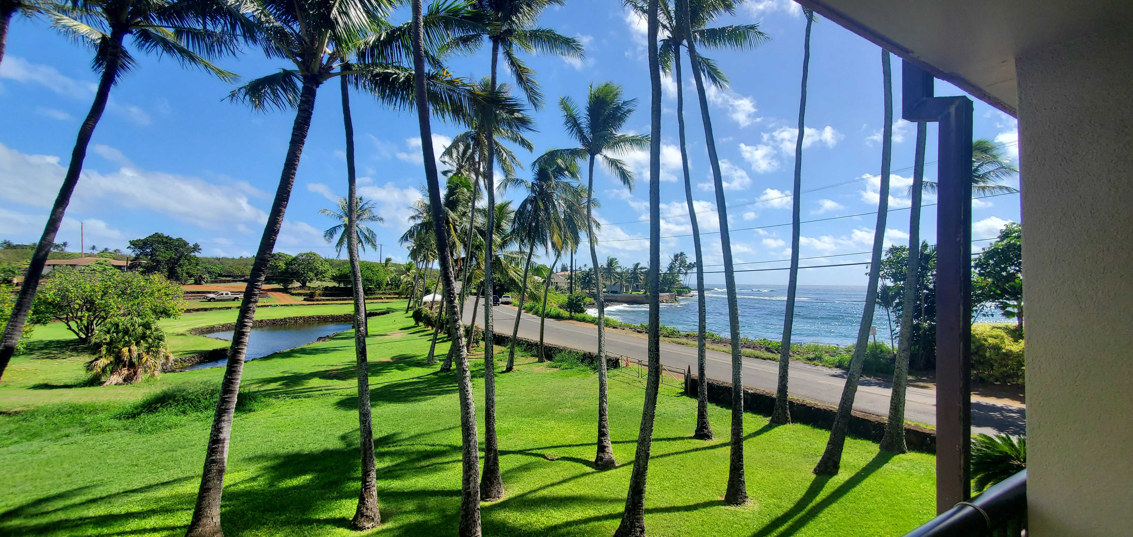 5061 LAWAI RD #203, Koloa, HI 96756