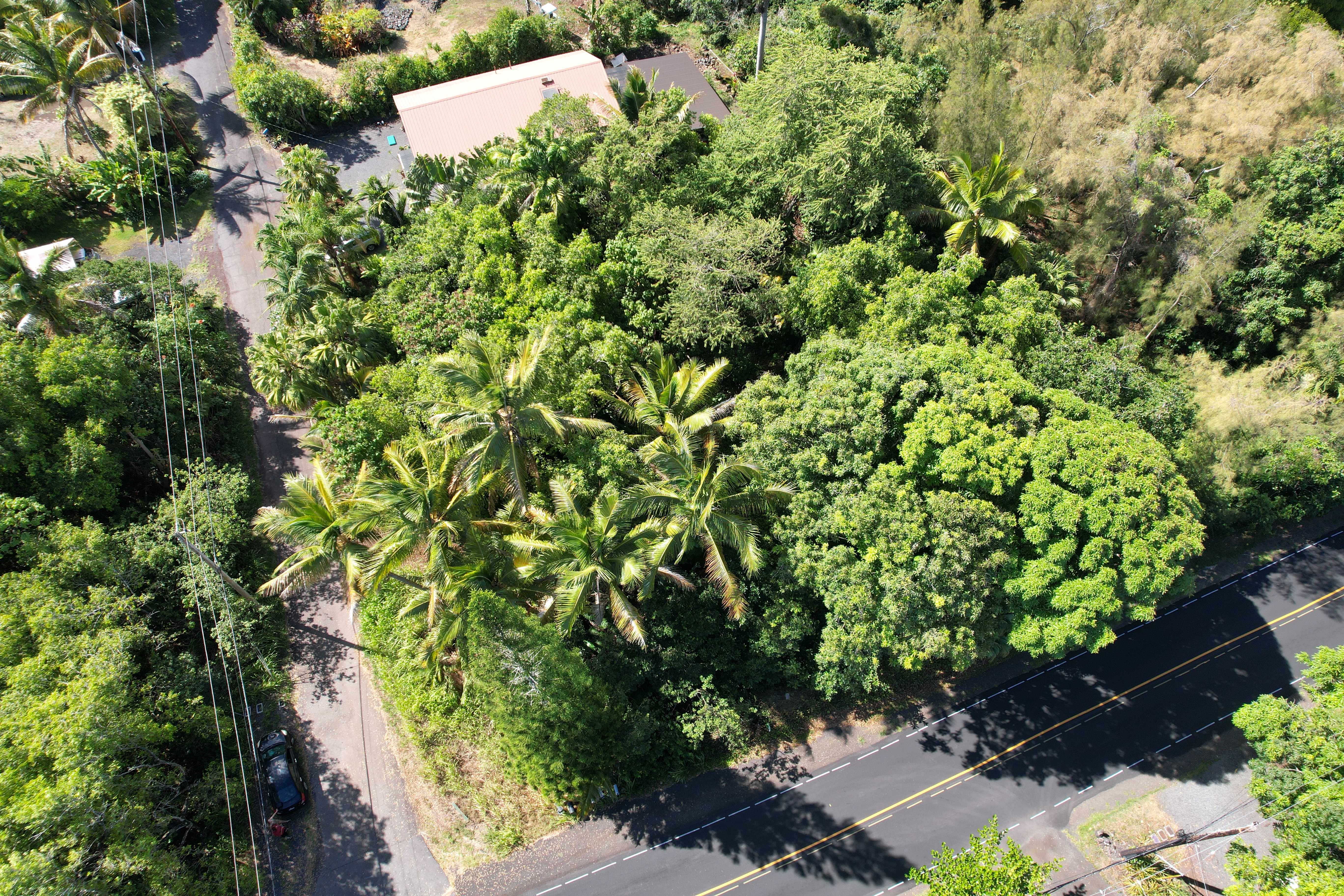 Pahoa, HI 96778,KALAPANA-KAPOHO BEACH RD