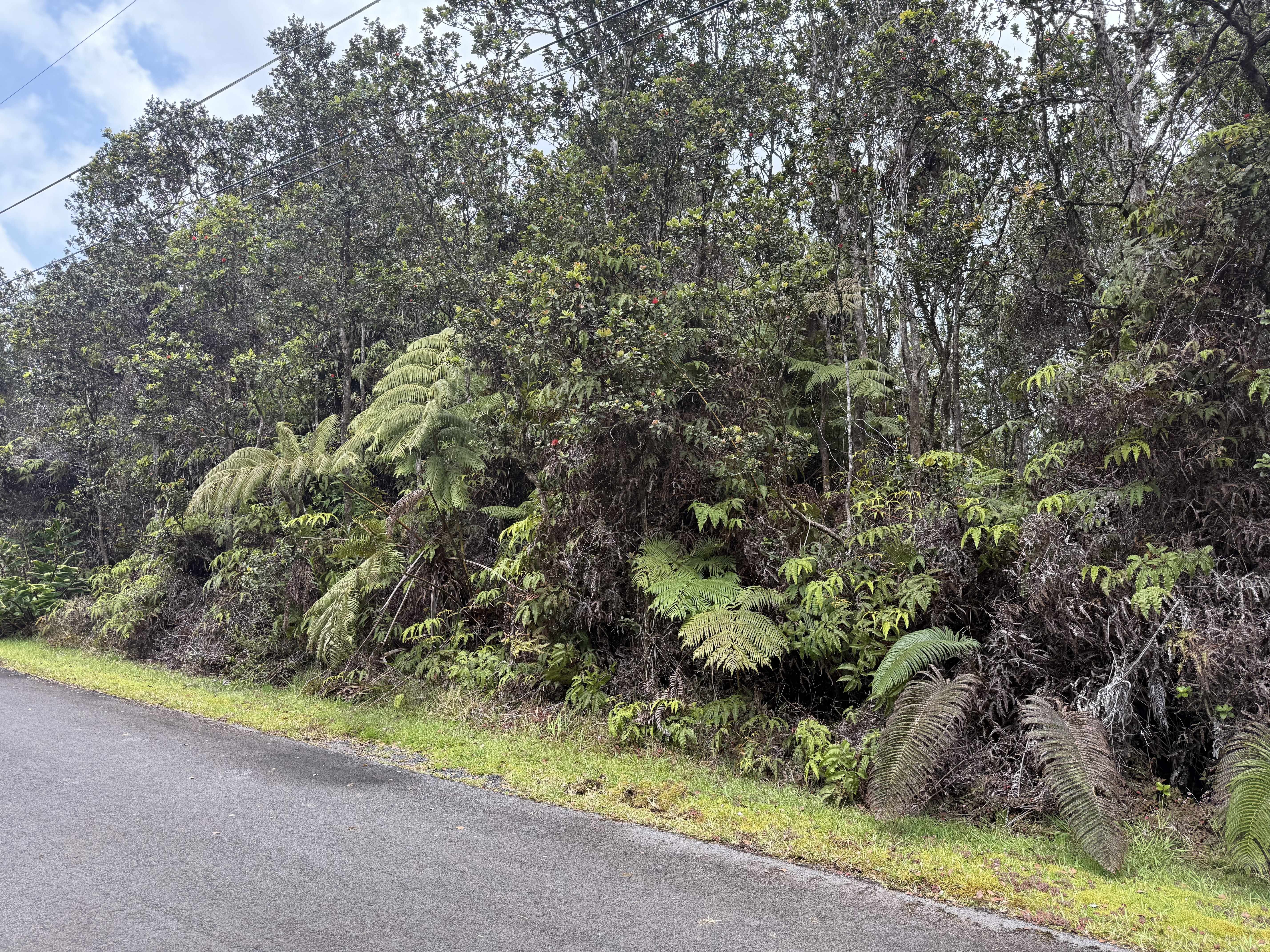 8TH ST, Volcano, HI 96785