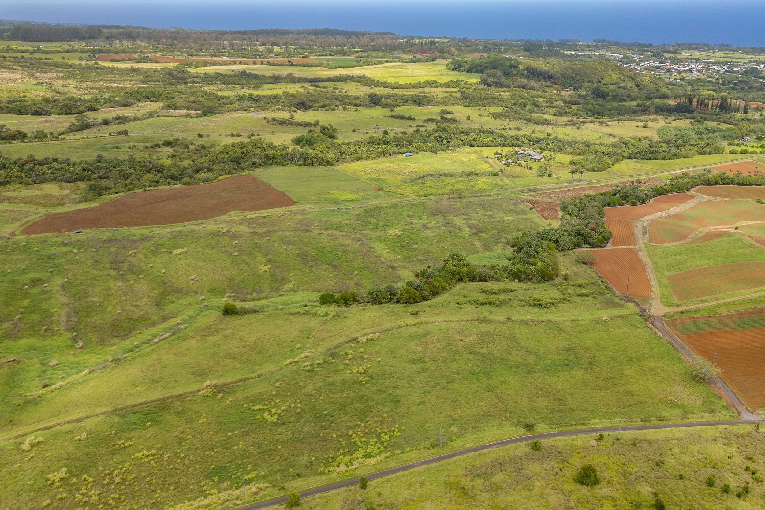 Pepeekeo, HI 96783,ONOHI LOOP