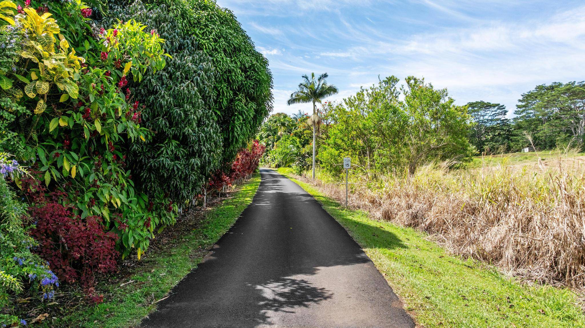 Pepeekeo, HI 96783,28-1385 OLD RAILROAD WAY