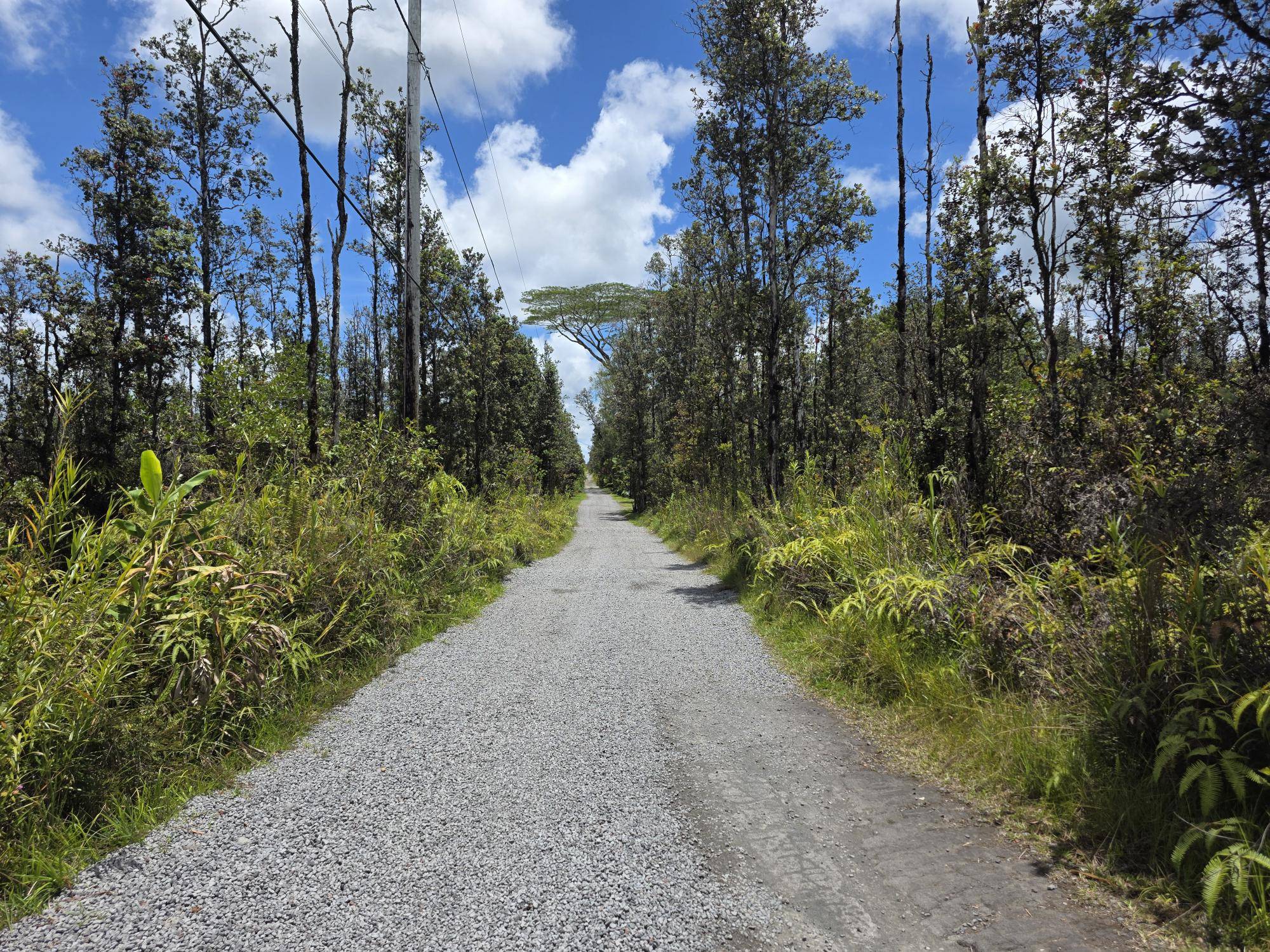ROAD 7 (OPEAPEA), Mountain View, HI 96760