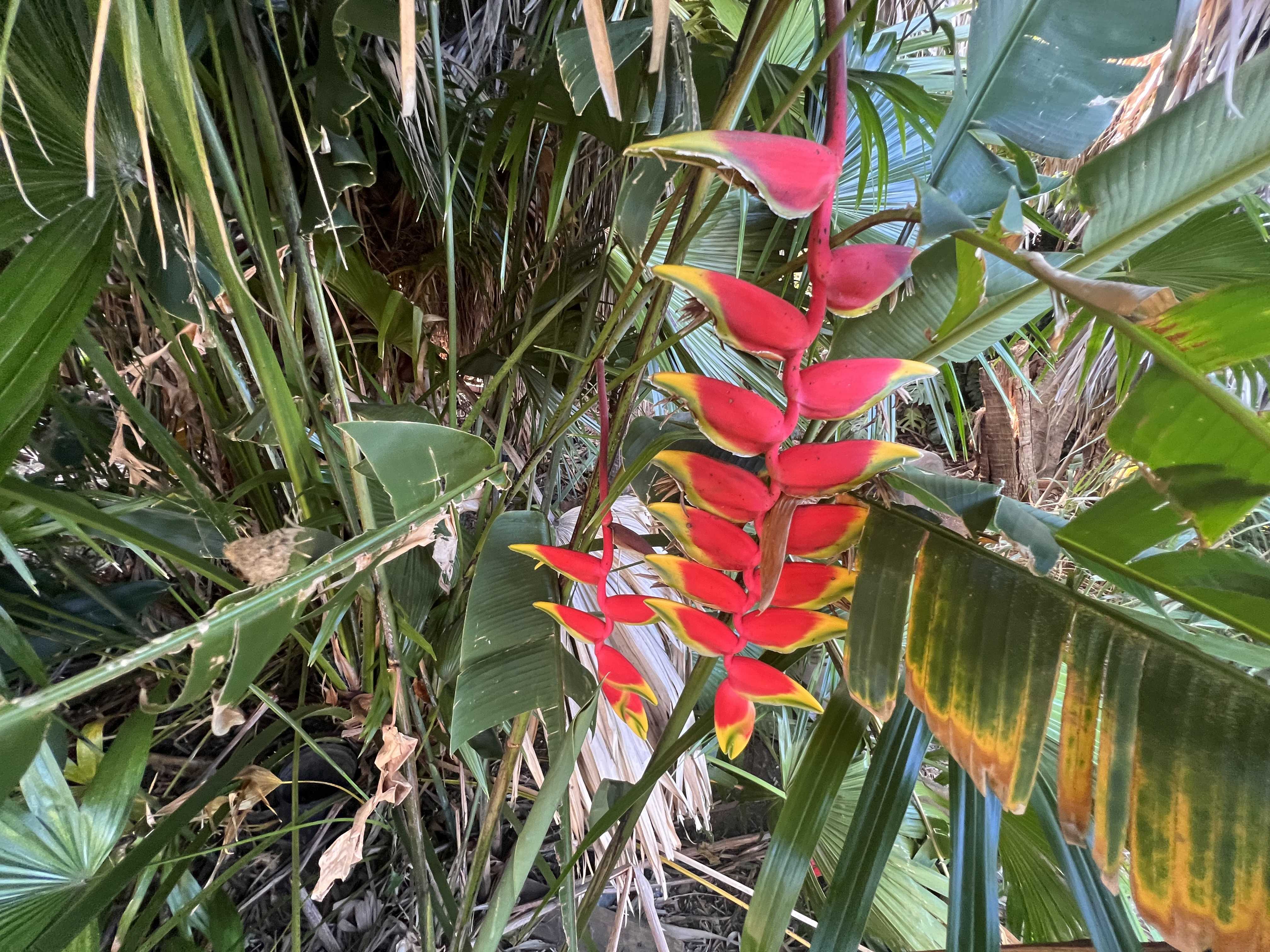Hilo, HI 96720,KUKUAU ST
