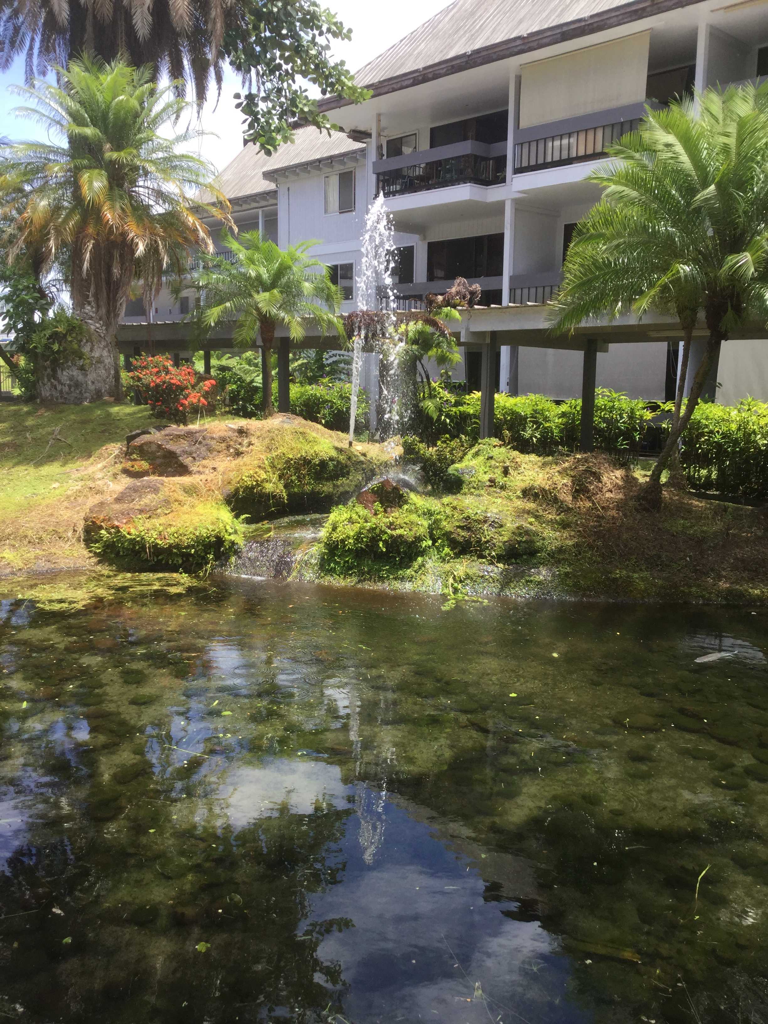 Hilo, HI 96720,400 HUALANI ST #1301