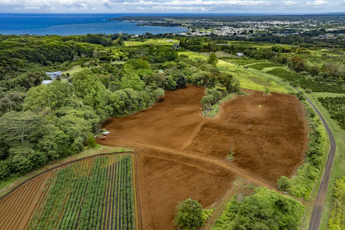 Hilo, HI 96720,1436 MAIKALANI ST
