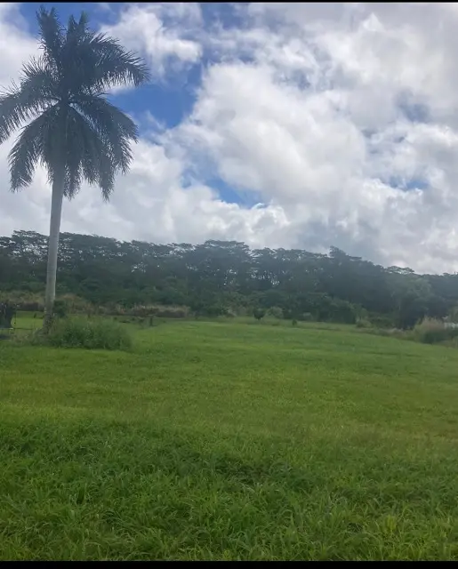 Keaau, HI 96749,16-2245 MAMAKA ST