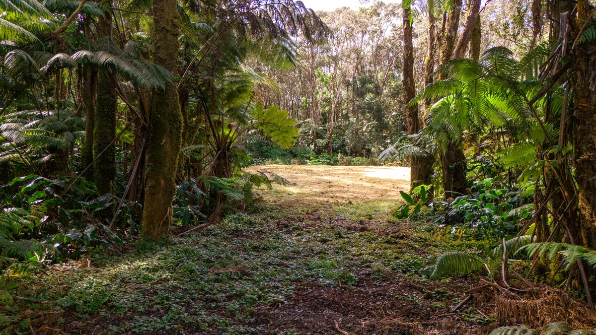 Volcano, HI 96785,11-3909 4TH ST