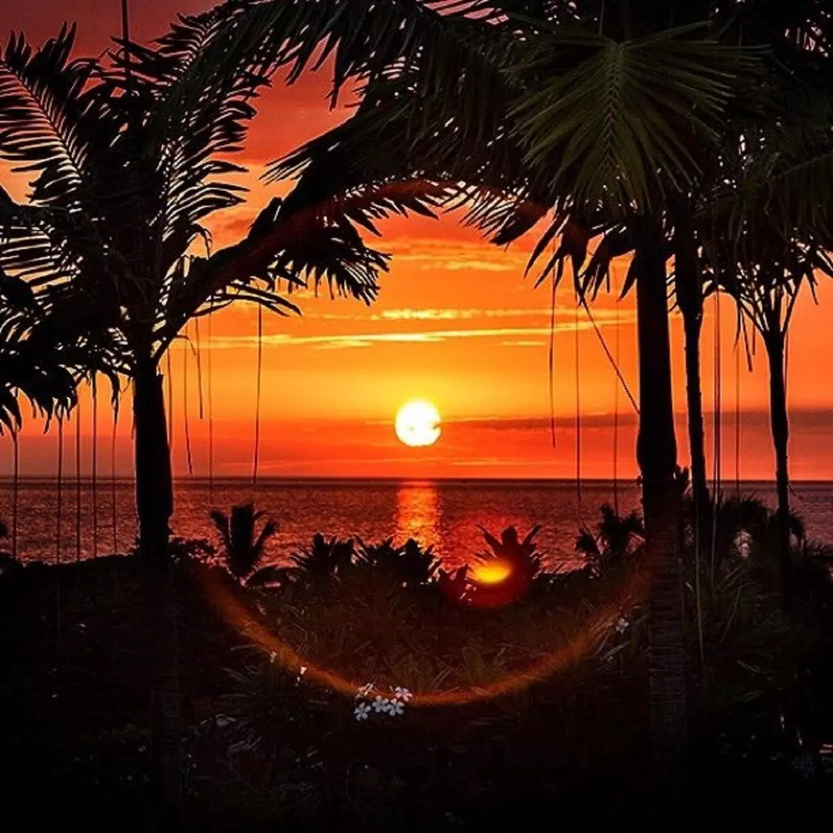 Kailua-kona, HI 96740,78-6833 ALII DR #B6