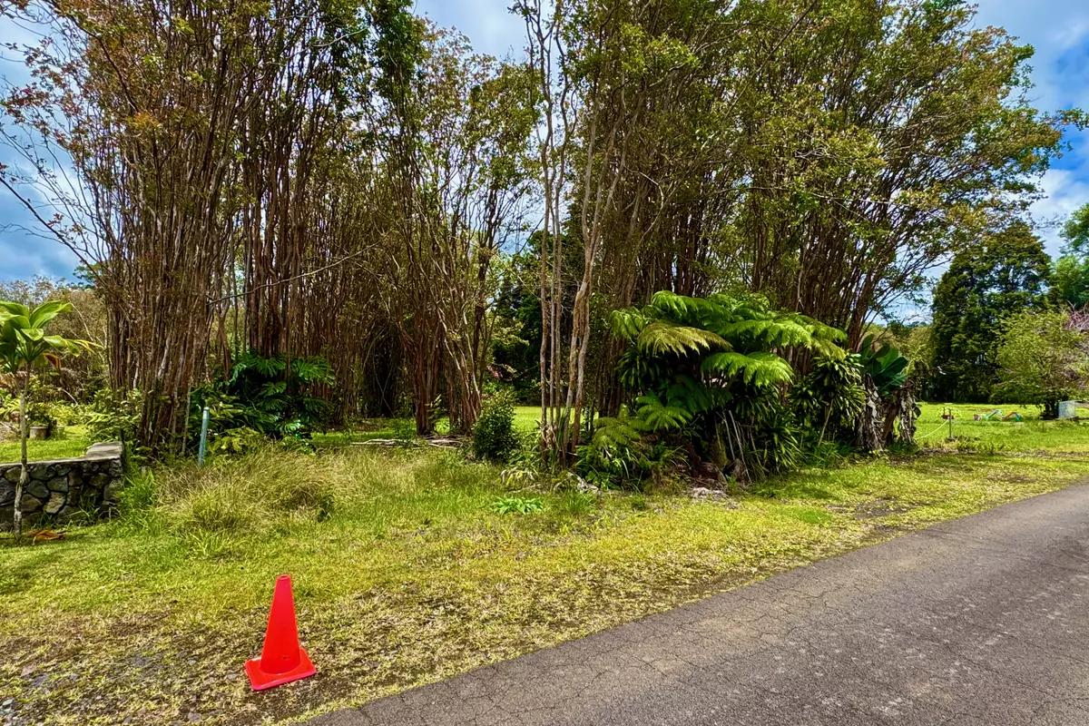 Volcano, HI 96785,18-1993 HAPUU NANI RD