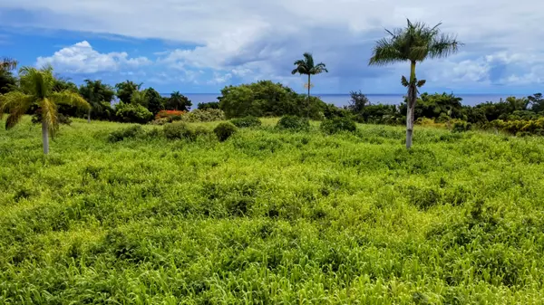 Ninole, HI 96773,31-154 HAWAII BELT RD