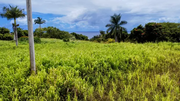 Ninole, HI 96773,31-154 HAWAII BELT RD