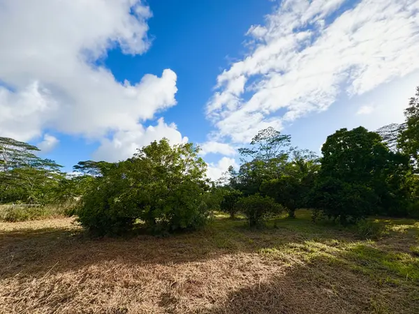 Keaau, HI 96749,15-1698 19TH AVE