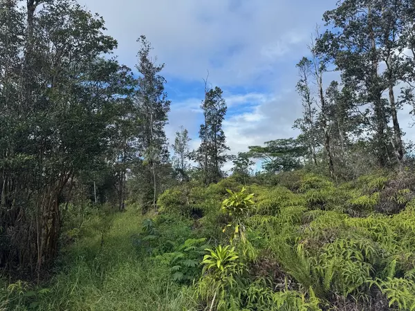 ROAD 10 (POOULI), Kurtistown, HI 96760