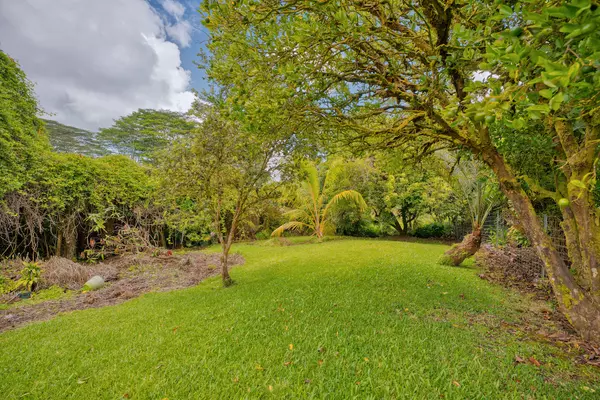 Pahoa, HI 96778,15-1616 AKEAKAMAI LOOP