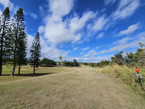 Naalehu, HI 96772,KIA KAHI ST