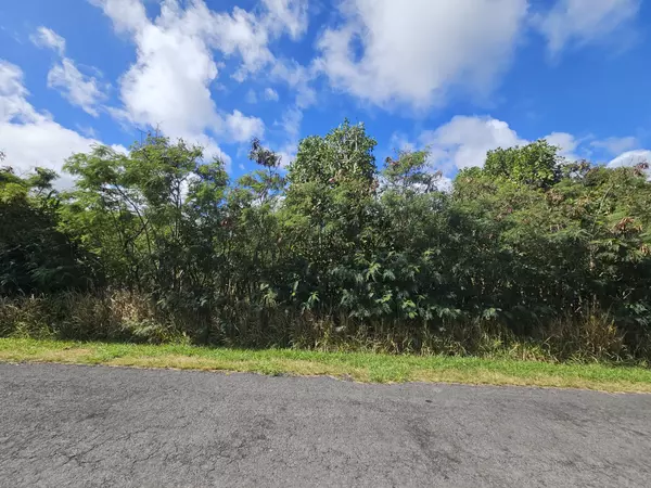 Naalehu, HI 96772,KIA KAHI ST