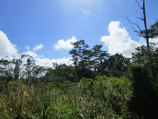 10TH AVE, Keaau, HI 96749