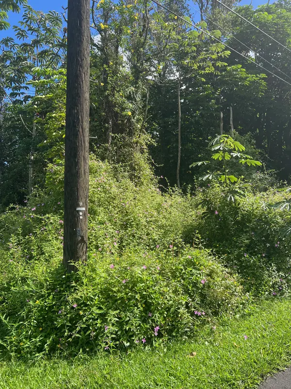 31ST AVE, Keaau, HI 96749