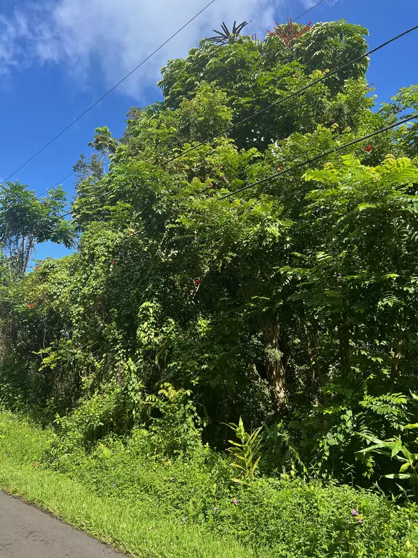 Keaau, HI 96749,31ST AVE