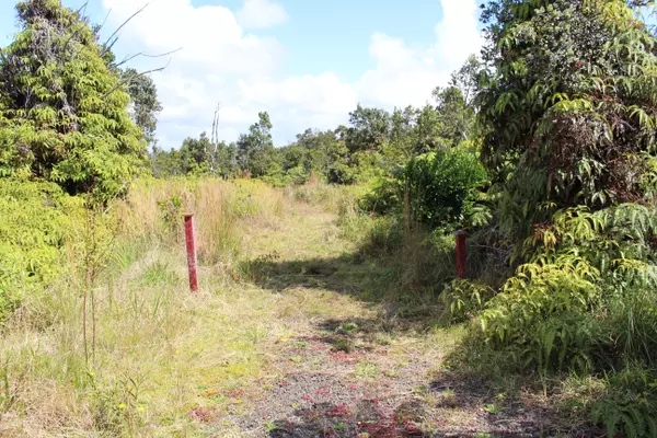 Volcano, HI 96785,NAHELENANI ST
