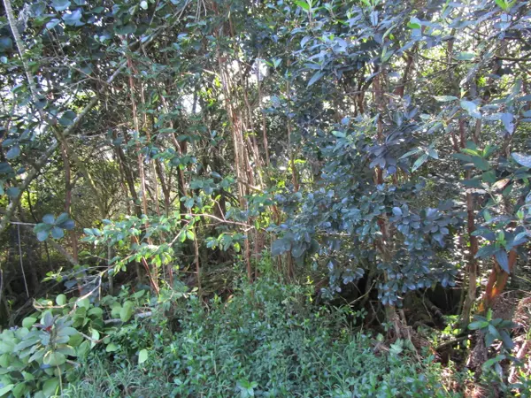 Keaau, HI 96749,8TH AVE