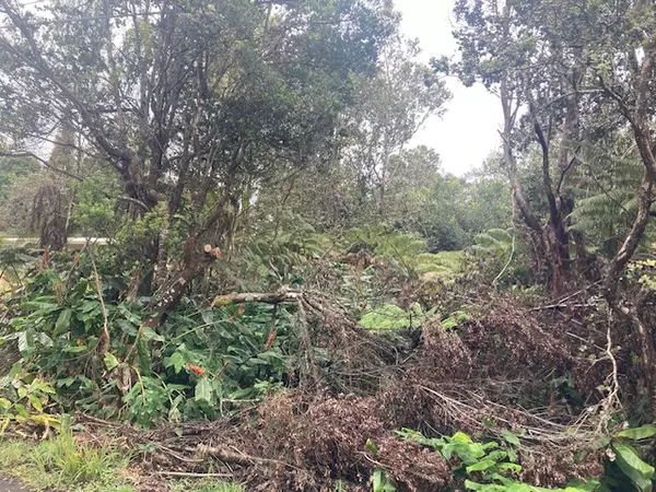 Volcano, HI 96785,19-3950 HOONANEA ST