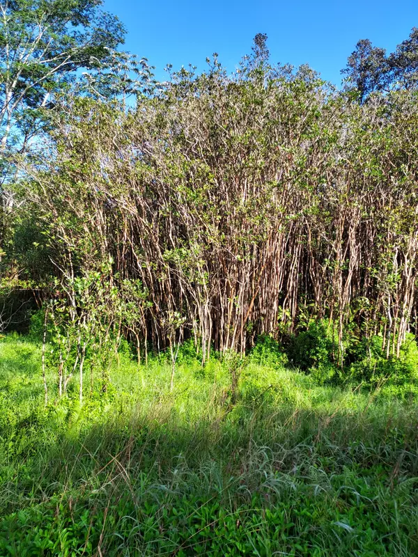 ROAD 10 (POOULI), Kurtistown, HI 96760