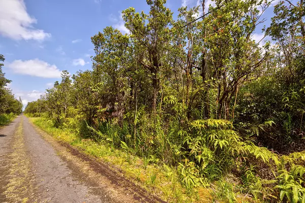 Mountain View, HI 96771,ALAPUA ST