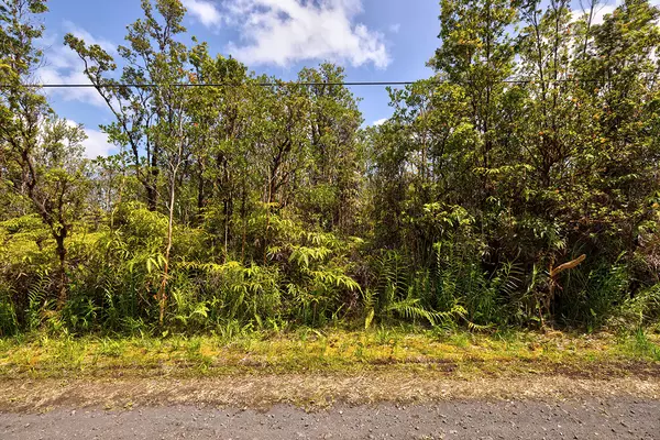 Mountain View, HI 96771,ALAPUA ST