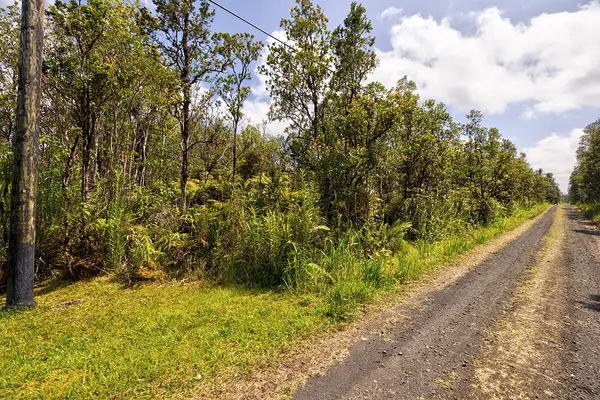 ALAPUA ST, Mountain View, HI 96771