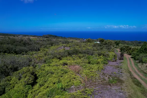 Papaaloa, HI 96780,Piha Homesteads