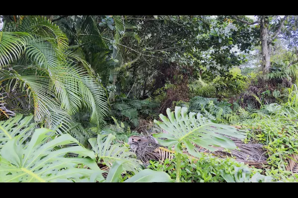 9TH AVE, Keaau, HI 96749