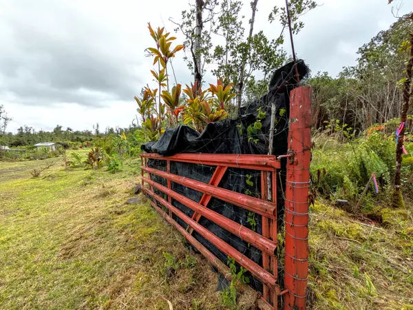 Mountain View, HI 96771,ULEI ST