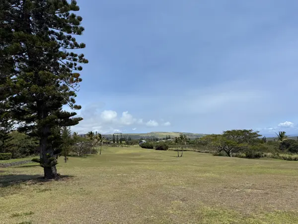 Naalehu, HI 96772,HEKAU ST