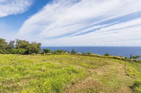 Laupahoehoe, HI 96774,36-2615 LAUPAHOEHOE POINT RD