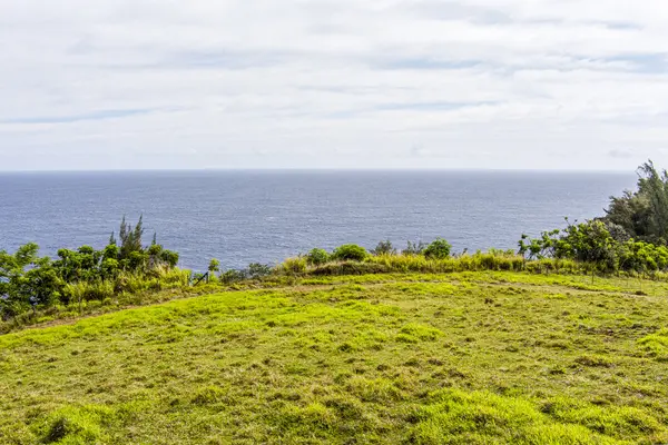36-2615 LAUPAHOEHOE POINT RD, Laupahoehoe, HI 96774